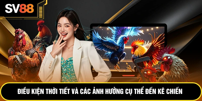 Điều kiện thời tiết và các ảnh hưởng cụ thể đến kê chiến