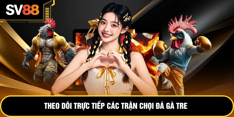 Theo dõi trực tiếp các trận chọi đá gà tre