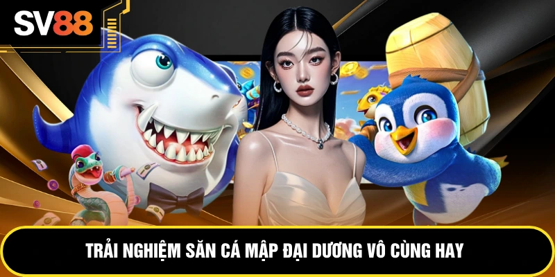 Trải nghiệm săn cá mập đại dương vô cùng hay